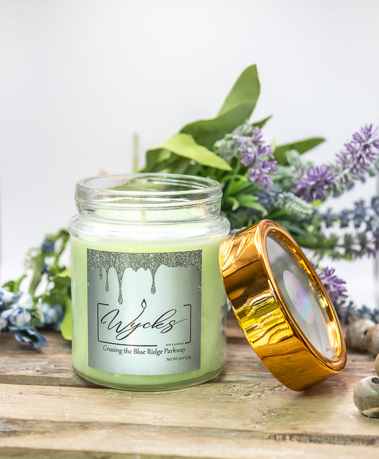 Cruising the Blue Ridge Parkway Candle - Single Wick 9 oz